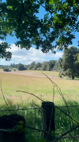 View from a Footpath Crossing a Field toward a Tree Tunnel in Shere, Surrey: A cinematic tracking or panning shot moving from an open, sunny field view over a rural fence, transitioning into the cool, shaded canopy of a tree tunnel on a footpath in Shere, Surrey. This footage beautifully captures the contrast between the expansive English countryside and the intimate, enclosed nature of woodland paths. Perfect for travel narratives, nature-themed wellness projects, or as B-roll representing a journey through the rural landscape.