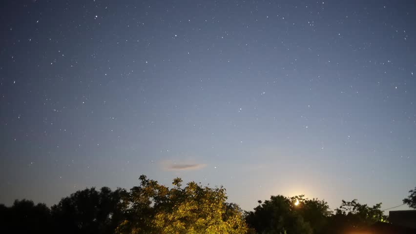 Stunning astrophotography showing stars and meteors moving across the night sky above the trees