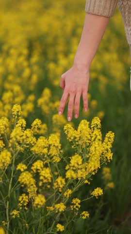 Cropped view of a woman in a beige knit sweater and light skirt reaching down to touch bright yellow wildflowers in a green meadow under soft natural light