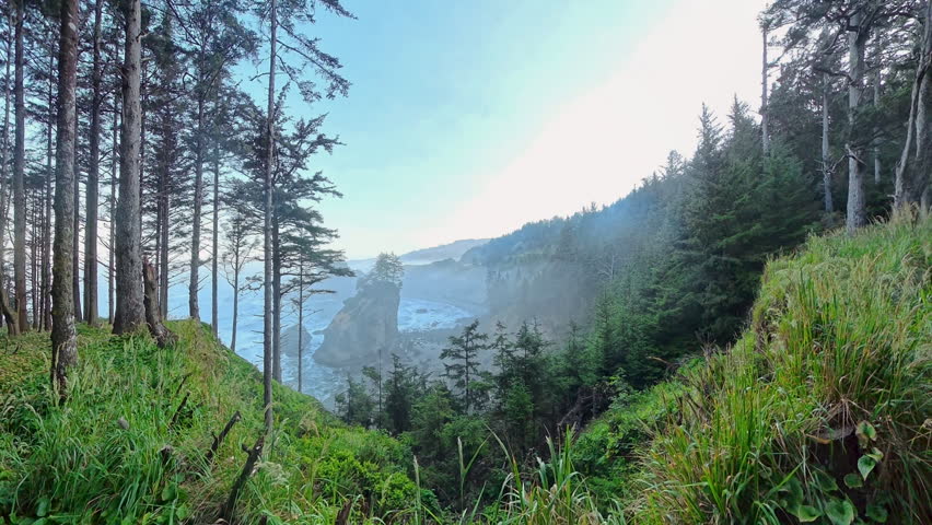 Dramatic Views of Oregon Coastline from High Vantage Point