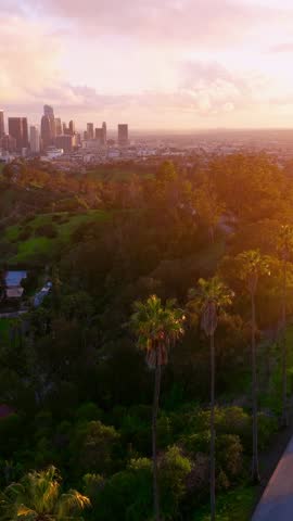 Aerial view of downtown Los Angeles skyline with office towers and skyscrapers. Traffic is visible along roadways during sunset hours. Palm trees frame the urban landscape.
