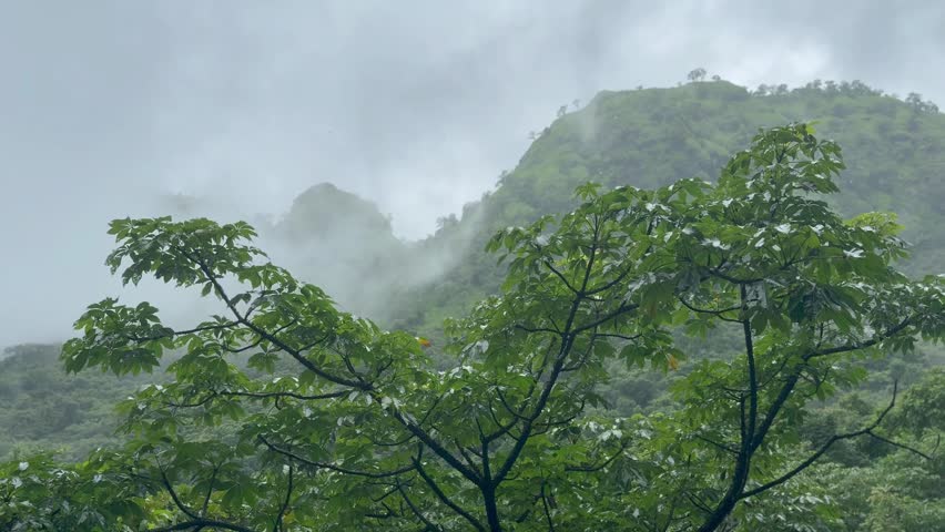 Misty clouds over the mountains of western ghats of Indian during monsoon season, Raigad, Maharashtra.