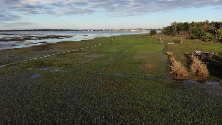 Top view of swamp and lake surface, dense green aquatic vegetation forming textured natural landscape. Ideal for nature, travel, environment, wetland, and cinematic landscape projects.