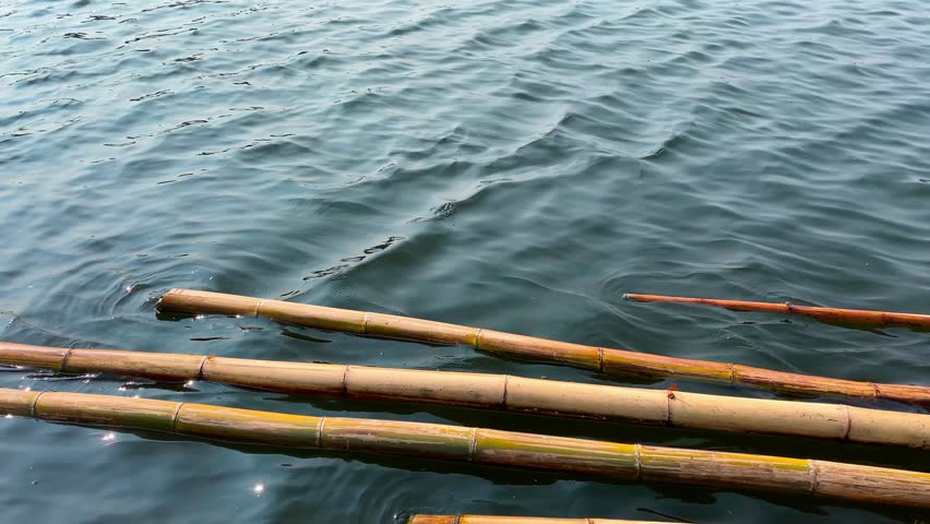 Bamboo poles floating on the surface of the water