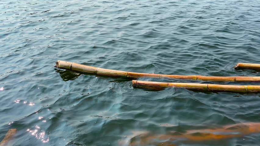 Bamboo poles floating on the water surface of a lake