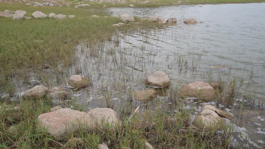 Wetland shoreline with rocks, shallow water and emergent vegetation along a freshwater lake