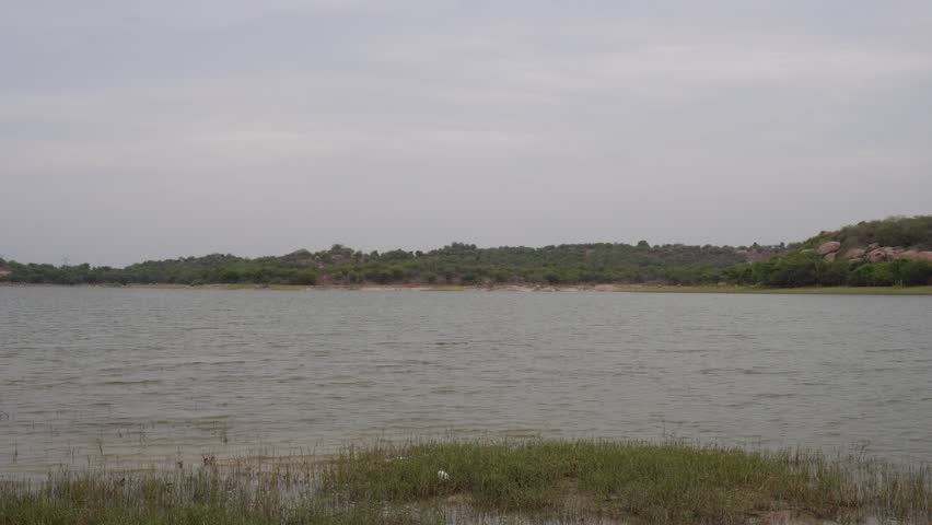 Wide freshwater lake landscape with shoreline vegetation and distant tree line
