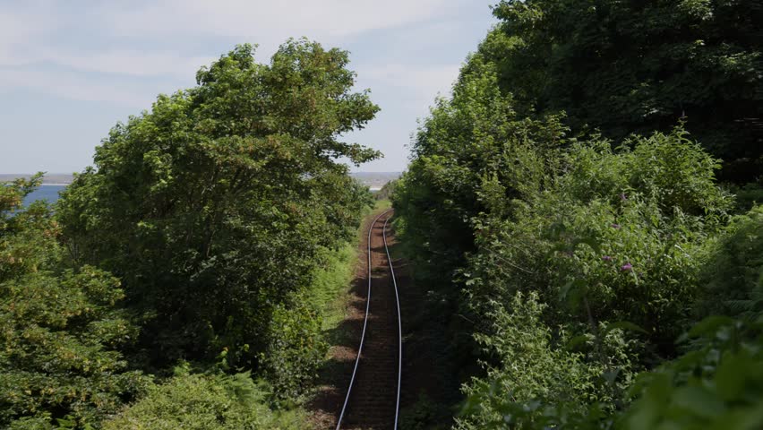A passenger train traveling along the St Ives Bay Line through dense green trees near Carbis Bay in Cornwall, England.
