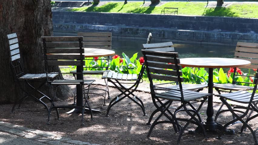 Scenic lake view with picnic tables and lush trees