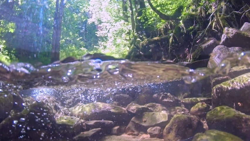 In a serene forest setting, a person practices yoga, balancing on a moss-covered rock as sunlight filters through the trees, creating a zen-like atmosphise perfect for relaxation and meditation.