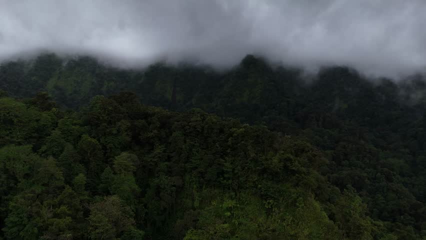 Dramatic aerial view of dark, heavy storm clouds and thick mist rolling over the dense tree canopy of Vermont Rain Forest, Saint Vincent and the Grenadines