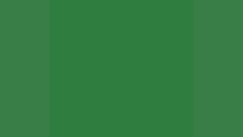 green screen white background cartoon character holding baseball bat mustache beard chef 