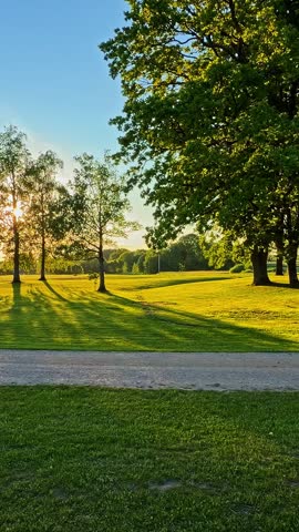 Sunlit park landscape with green lawn trees and long evening shadows, vertical sunburst flare backdrop