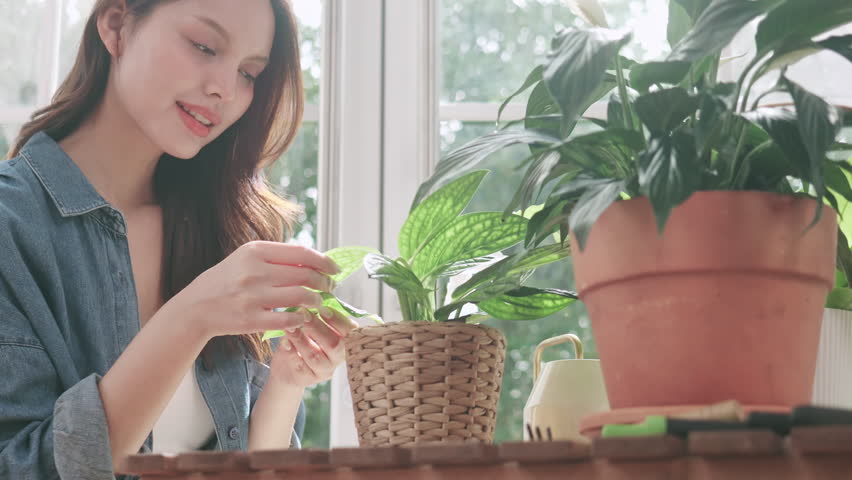 A smiling young Asian woman using a spray bottle to water a houseplant near a bright window.