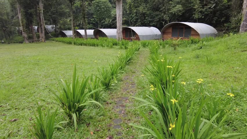 Bright daytime scene showing curved camping tents set among green grass and tall trees with a grassy path lined by yellow flowers leading to the tents