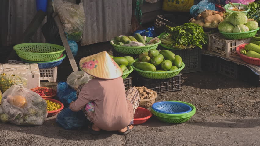 A Vietnamese woman wearing a conical hat, sitting and arranging fresh tropical fruits and vegetables at a local street market in Sa Dec, Mekong Delta