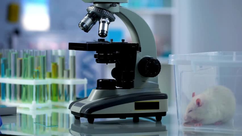 A chemist analyzes crystal formations under a microscope, researching materials for new applications in the electronics and high tech industries.