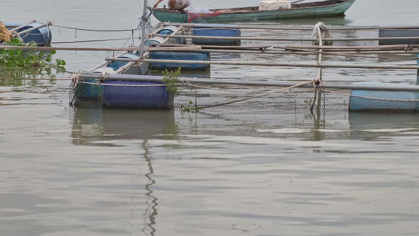 Tracking shot of a fisherman casting a fishing net from a small boat near a floating fish farm on the Tien River, Mekong Delta, Vietnam