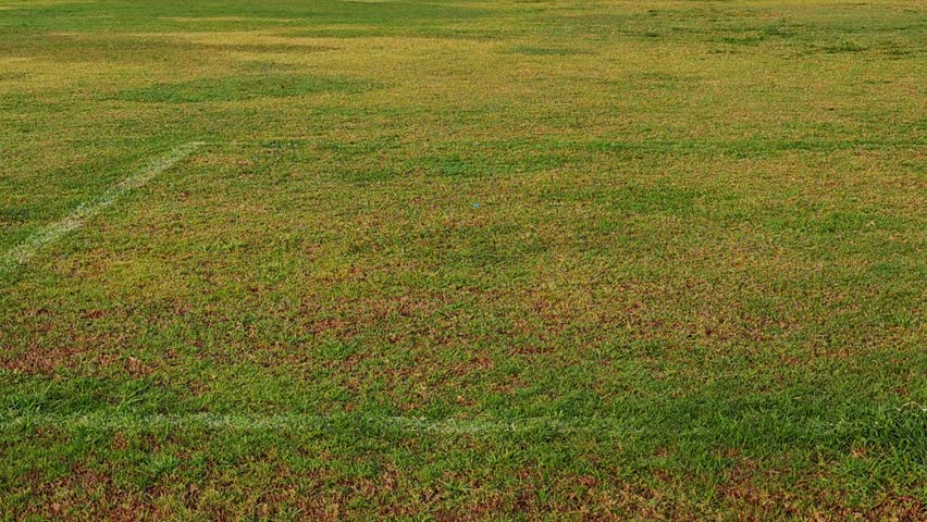 Grass field, goal, football stadium  , sports field..