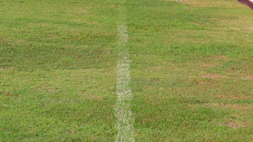 Grass field, goal, football stadium  , sports field..