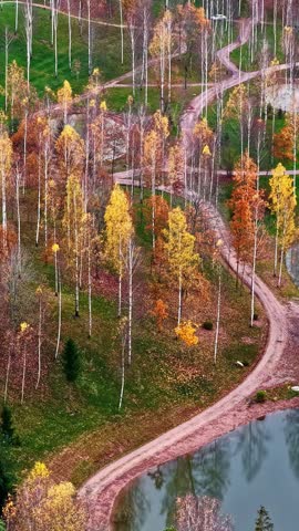 Aerial view of a park with autumn trees and a winding path, showcasing vibrant fall colors.