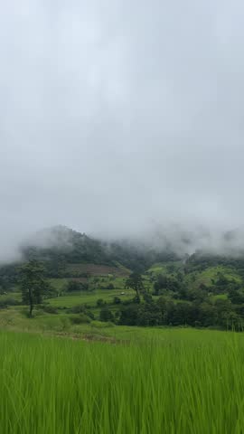 Misty Morning in the Mountains