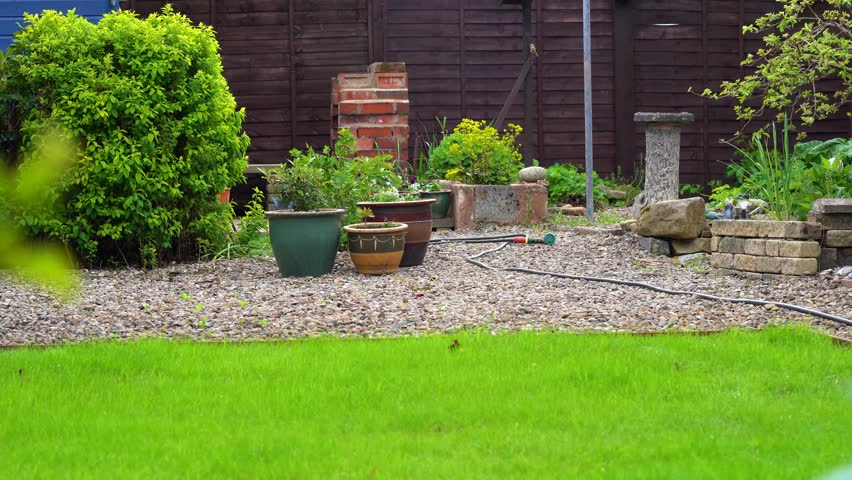 Lush English country garden view