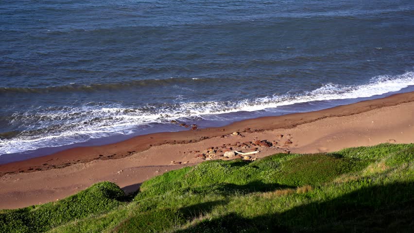 Scenic view of the coastline in Whitby, showcasing the dynamic interplay of waves, sand, and lush greenery