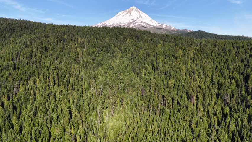 The iconic Mt. Hood is surrounded by national forest and spans all the way to the Columbia River Gorge in Oregon. This scenic and wild area, close to Portland, offers year-round recreation.