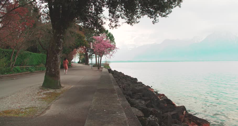 Lakeside Walking Path with Spring Blossoms Along Lake Geneva Switzerland - Tree-lined walking path beside Lake Geneva near Montreux, Switzerland. Spring blossoms, calm waters, and scenic mountain views create a peaceful European travel destination.