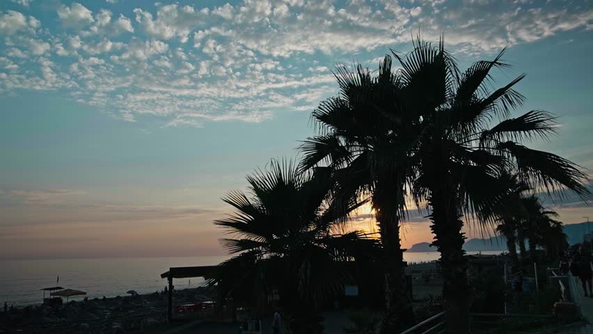 A serene view of the sun setting behind palm trees along a beach with scattered clouds in the sky.
