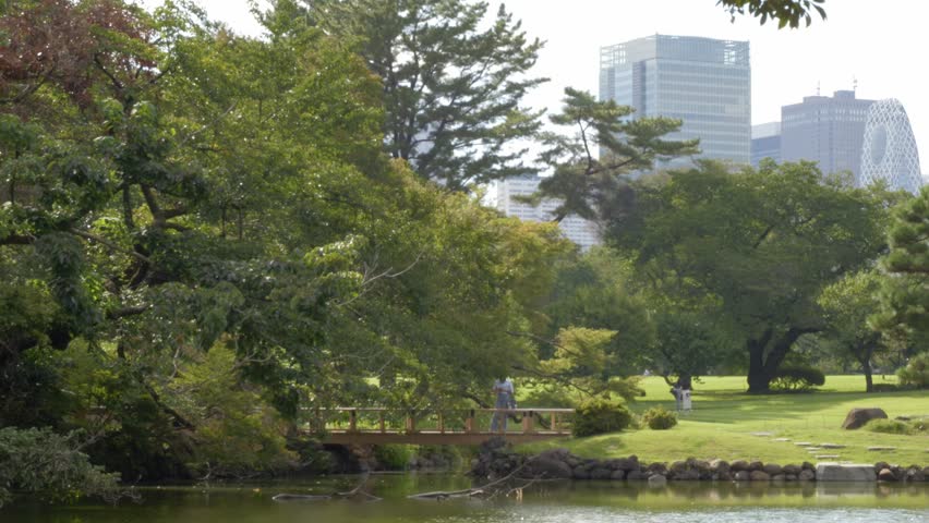 Shinjuku Gyoen National Garden With High-rise Buildings In The Background in Tokyo, Japan. - wide shot