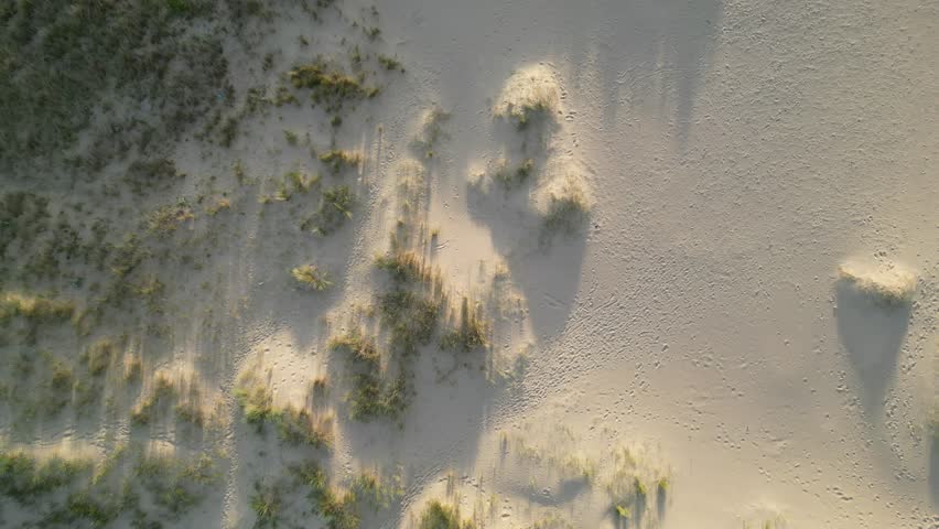 Top down aerial view of sand dunes and long grass shadows