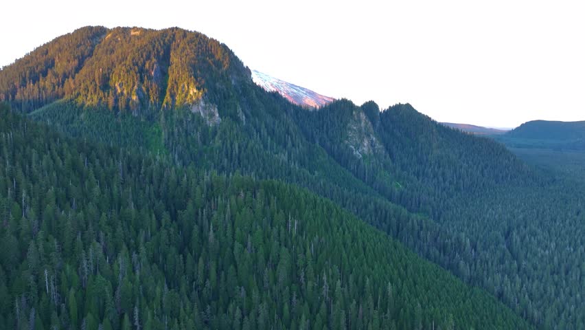 Aerial View Of Mount St Helens Above Forested Ridge