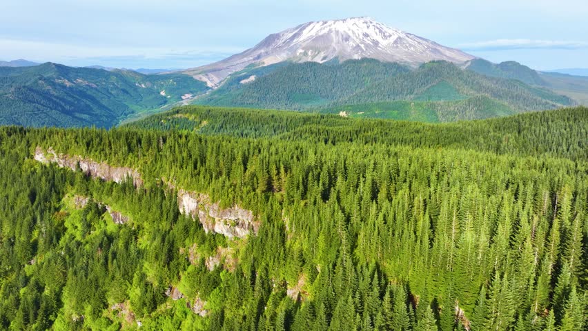 Forested Plateau With Mount St Helens In Background