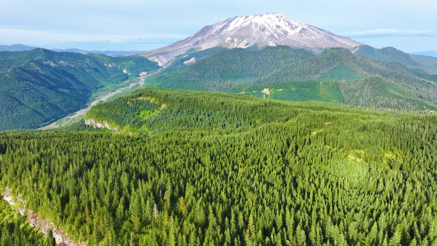 Mount St Helens Above Dense Conifer Forest Aerial Drone View