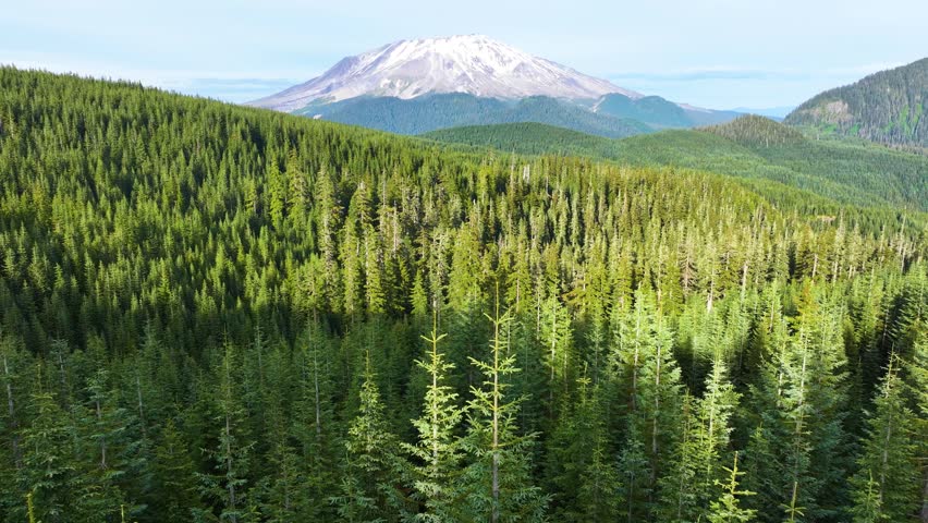 Mount St Helens Above Rolling Evergreen Terrain Aerial View