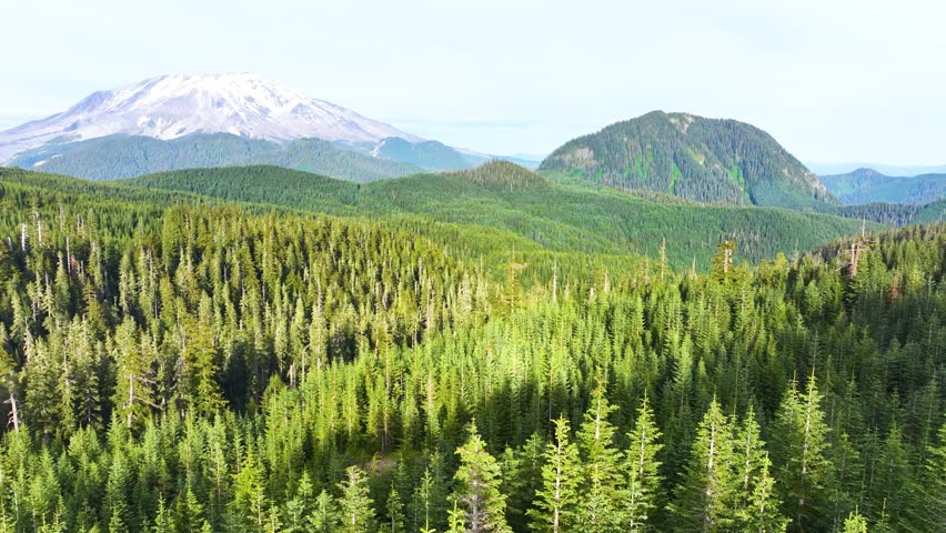 Mount St Helens Beyond Forested Valley In Washington Aerial