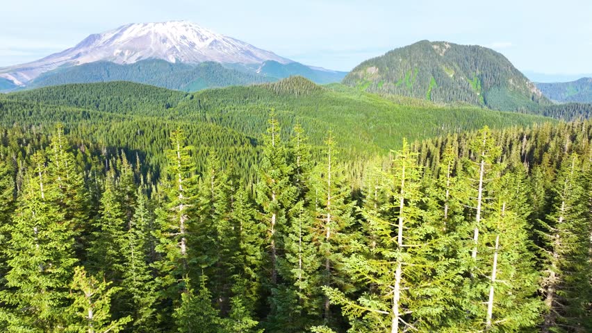 Mount St Helens Above Forested Horizon In Washington Aerial