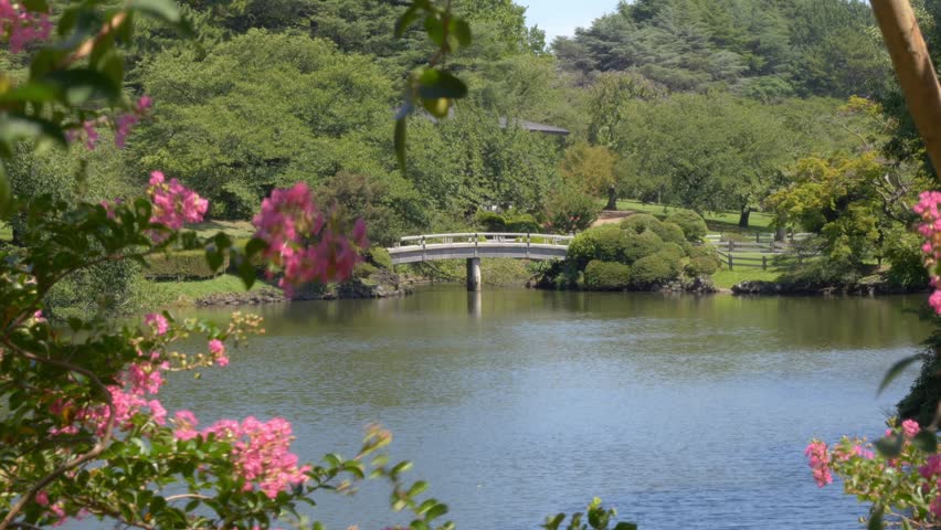 Bridge Over The Pond At Shinjuku Gyoen National Garden In Tokyo, Japan. - wide shot