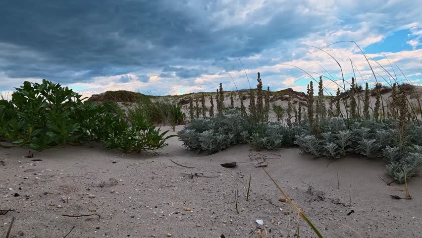 Island Beach State Park, NJ, USA. June 20, 2026. New Jersey