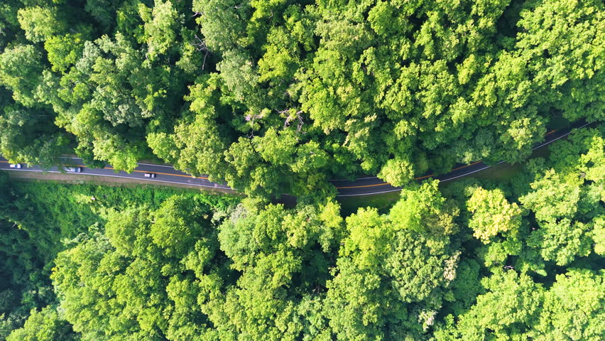 Road trip driving in North Carolina Appalachian mountains. Winding parkway in mountain forest with green canopies in summer season.