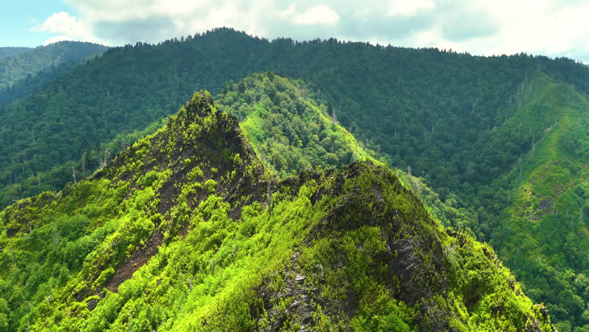 Appalachian mountains in North Carolina with fresh green forest trees in summertime season. Beauty of USA nature.