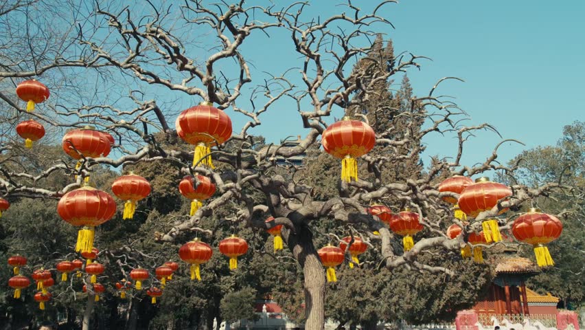 Beijing Jingshan Park Wanchun Pavilion Hillside with Red Chinese New Year Lanterns Hanging on Ancient Tree Branches