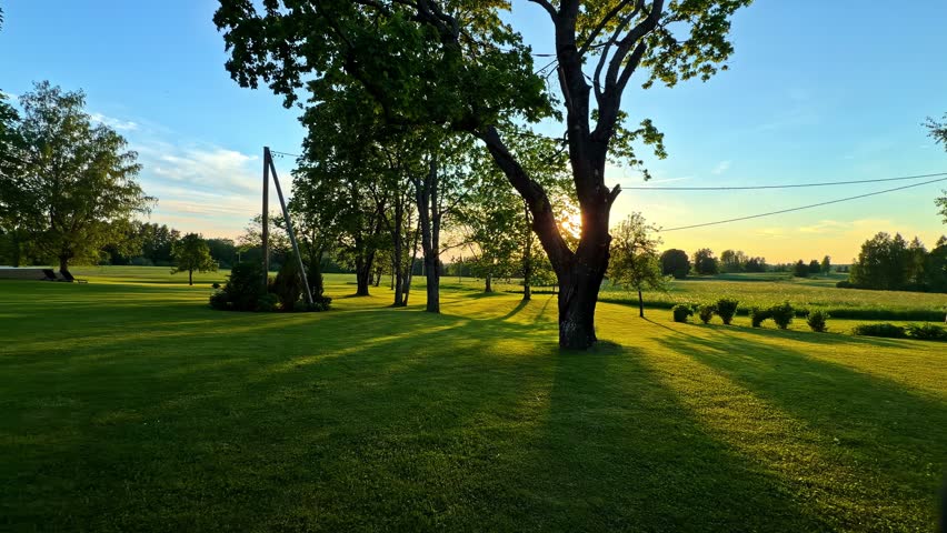 Sunlit park landscape with mature trees casting long shadows across green lawn, golden light casts rays flickering with warmth