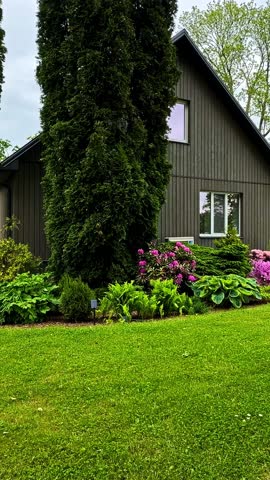 Lush green garden plants and shrubs beside a wooden house on a cloudy day