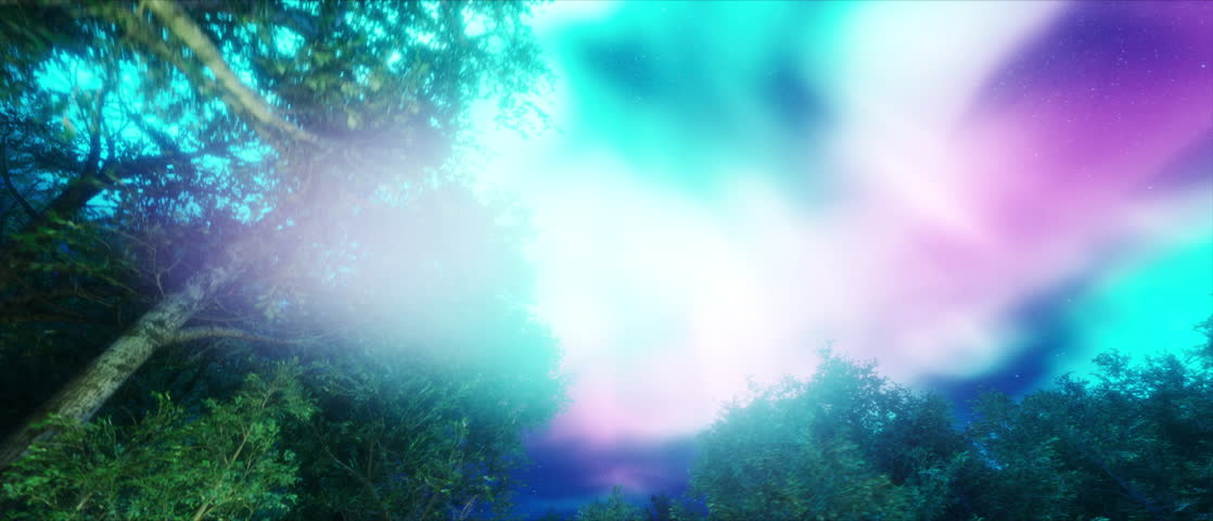 Mysterious deep forest with magical light beams