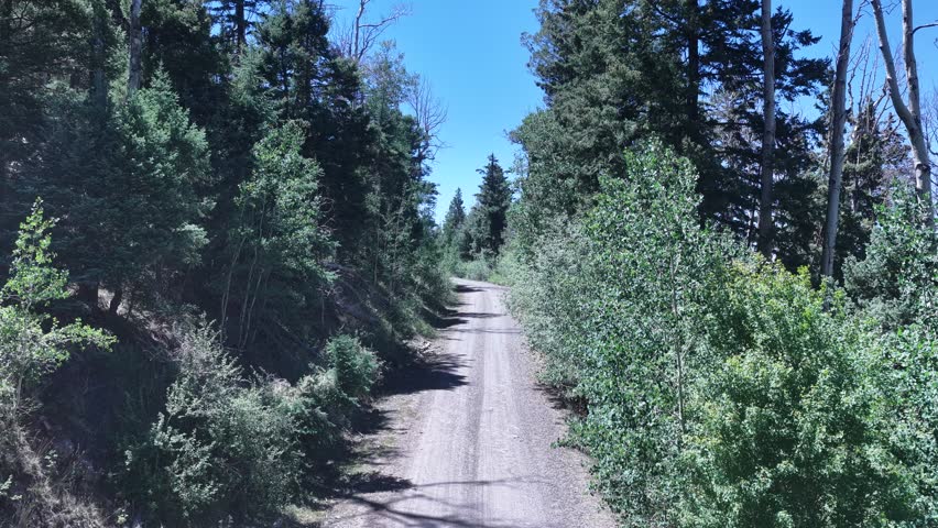 aerial view of Mount Taylor forest