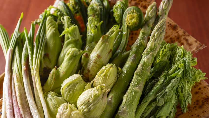 Fresh Hokkaido spring wild vegetables including asparagus, kogomi fern, aralia bud and wild garlic in wooden basket revealed by slow panning camera
