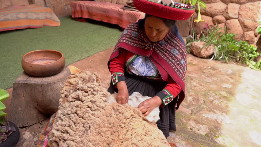 Peruvian senior woman cleaning raw alpaca wool in a village in Peru